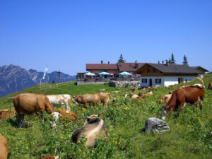 huetten_kreuzalmLavinia