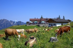 huetten_kreuzalmLavinia